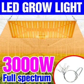 Hidroponik Bitki Büyüme lambası tam spektrumlu LED büyümek ışık Phyto ışık sera aydınlatması 2835 Kapalı Çiçek Tohumları 2000W 3000W