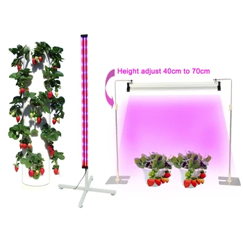 Çilek Aeroponik Konteyner Ev Dikey Sera Kapalı Bitki Aquaponics Hidroponik Yetiştirme Sistemleri