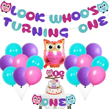 Karikatür Baykuş 1st Doğum Günü Partisi Süslemeleri ile Erkek Kız için Bak Whoo Dönüm Bir Afiş Lateks Balon, baykuş Bir Kek Topper