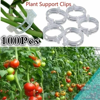100 Adet Dayanıklı Şeffaf Bitki Destek Klipleri Plastik Bitkiler asılı bitki Rafları 23mm Asma Bahçe Sebze