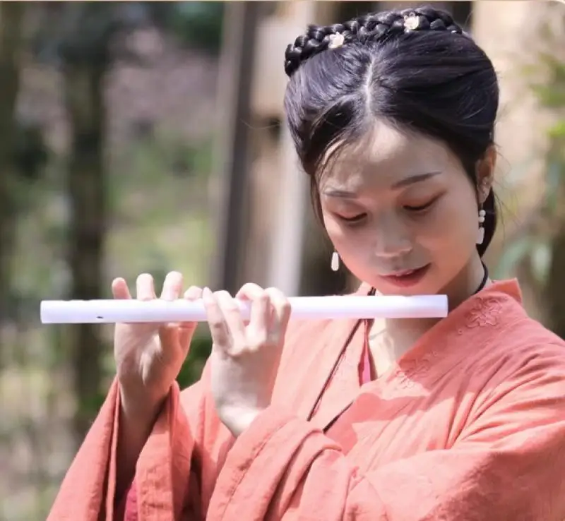 1 Adet Çin Tarzı Reçine Flüt Acemi Yetişkin Sahne Performansı Profesyonel Milliyet Müzik Enstrüman Kolay Öğrenilen Flüt - 2